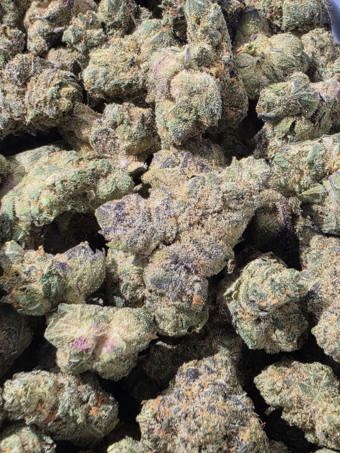 Purple God