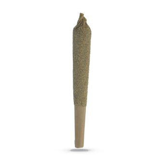 Infused Pre-Roll (Shatter, Kief, Premium Flower)