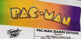 🎮 Pac-Man: Gamer Edition (smalls)