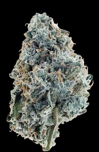 Sour Bubba