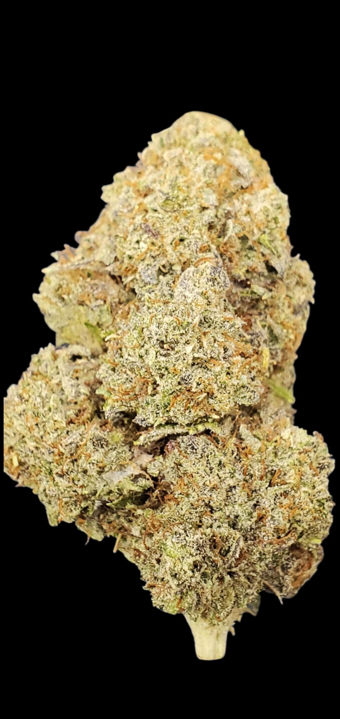 Jack Frost