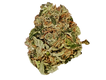 Lemon Larry OG