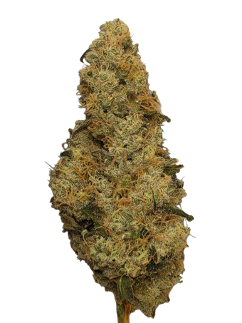 Stink Pie Kush