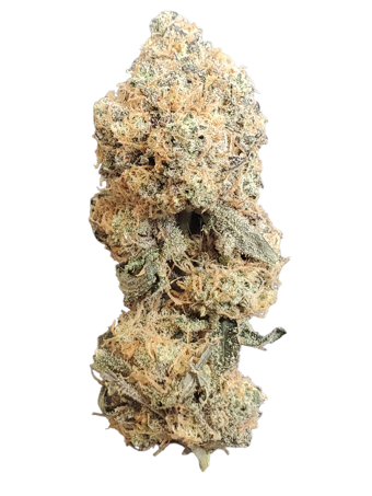 Frosted Gary #1
