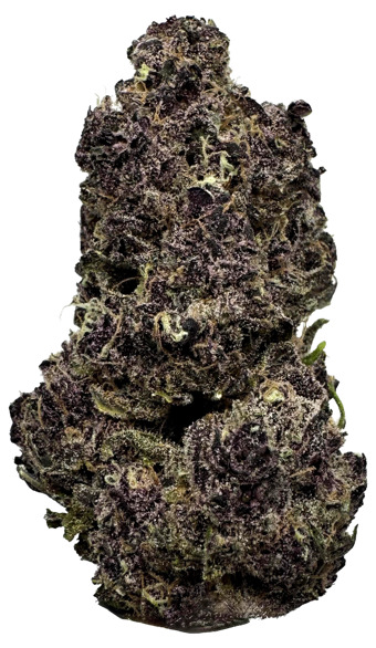 Berry Bonds