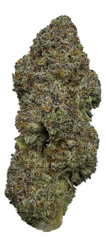 Blueberry Cupcake
