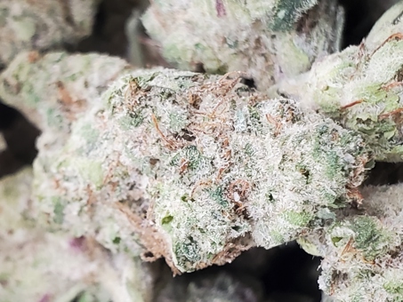 Vanilla Velvet (smalls)