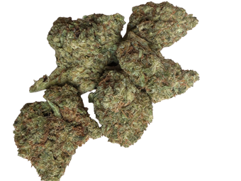 Super Lemon Haze