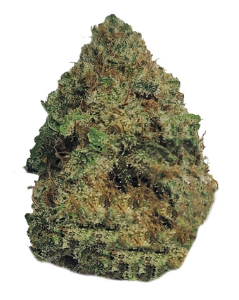 Blueberry Sugar