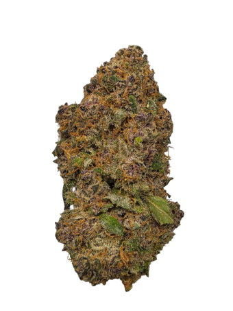 Purple Haze