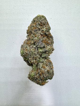 Blueberry Muffin