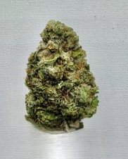 Blueberry Headband
