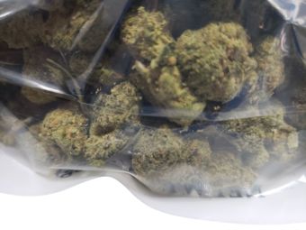 🎮 Pac-Man: Gamer Edition